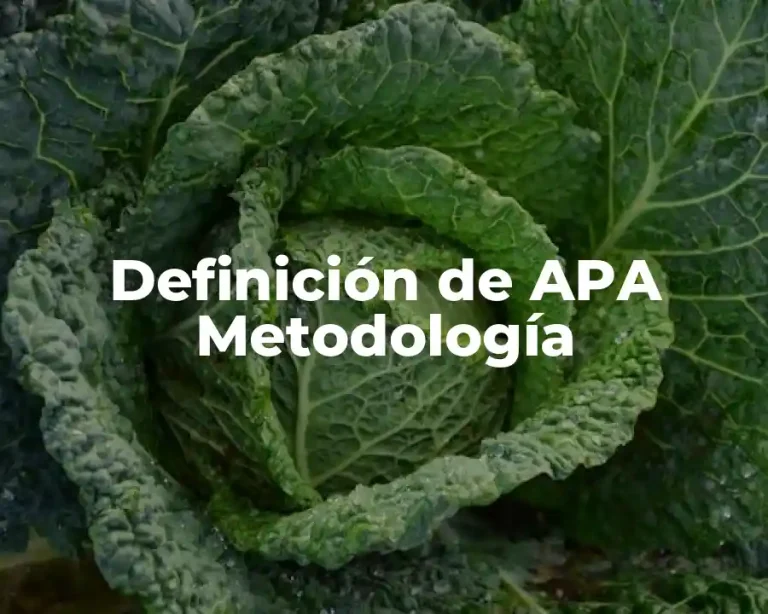 Definición de APA Metodología