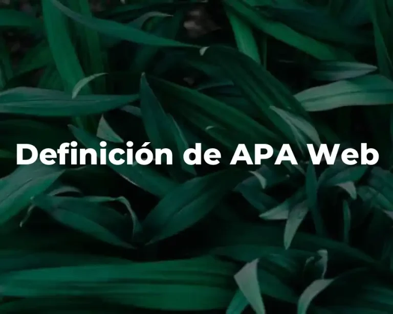 Definición de APA Web