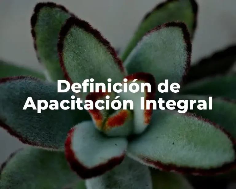 Definición de Apacitación Integral