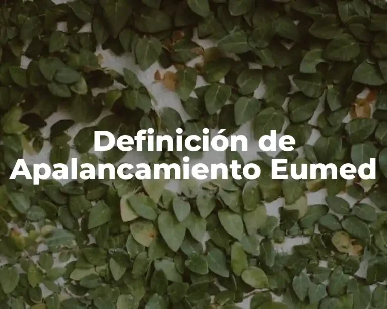 Definición de Apalancamiento Eumed