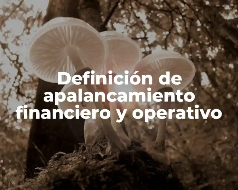 Definición de apalancamiento financiero y operativo