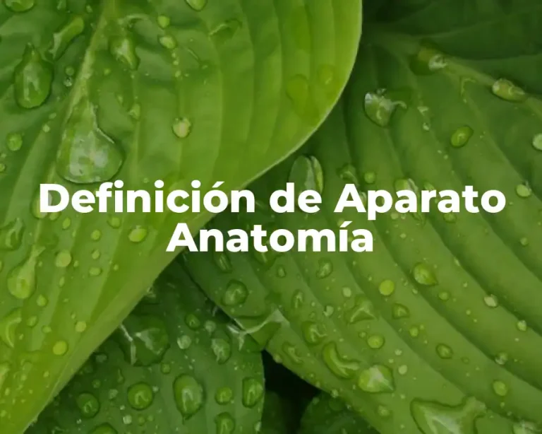 Definición de Aparato Anatomía