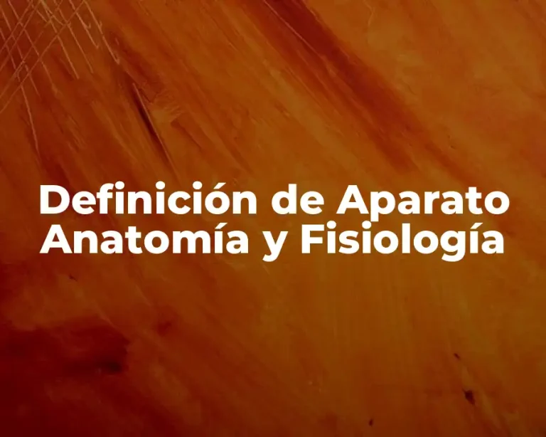 Definición de Aparato Anatomía y Fisiología