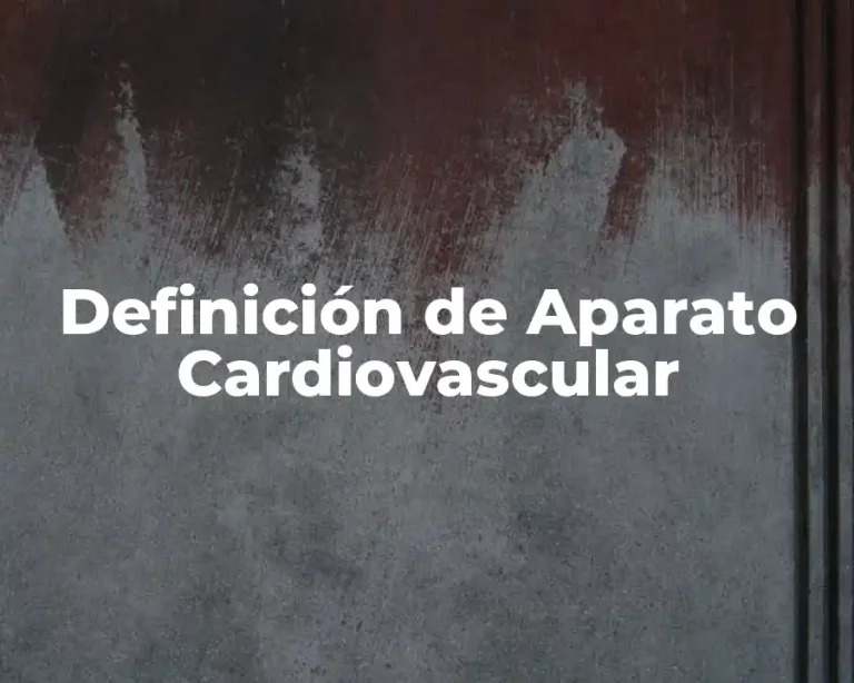Definición de Aparato Cardiovascular