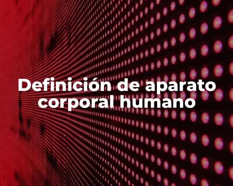 Definición de aparato corporal humano