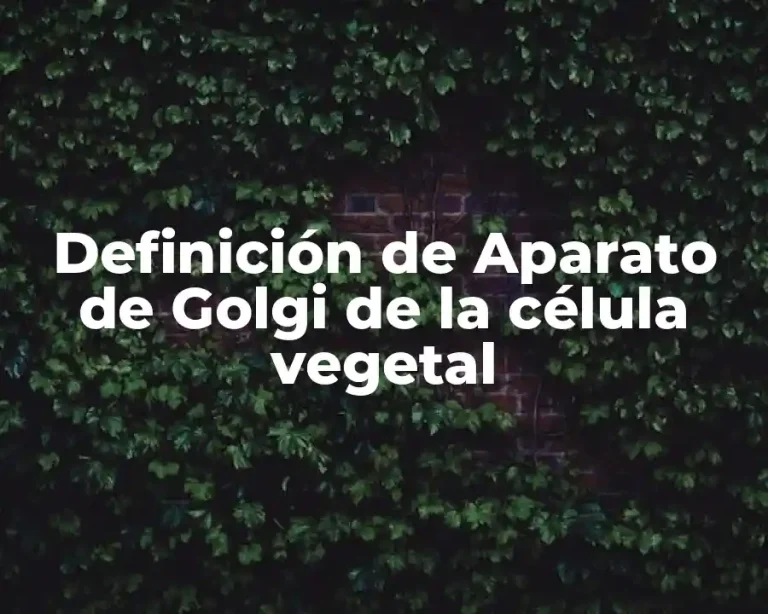 Definición de Aparato de Golgi de la célula vegetal
