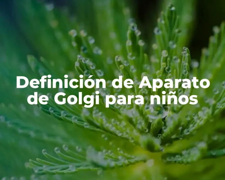 Definición de Aparato de Golgi para niños