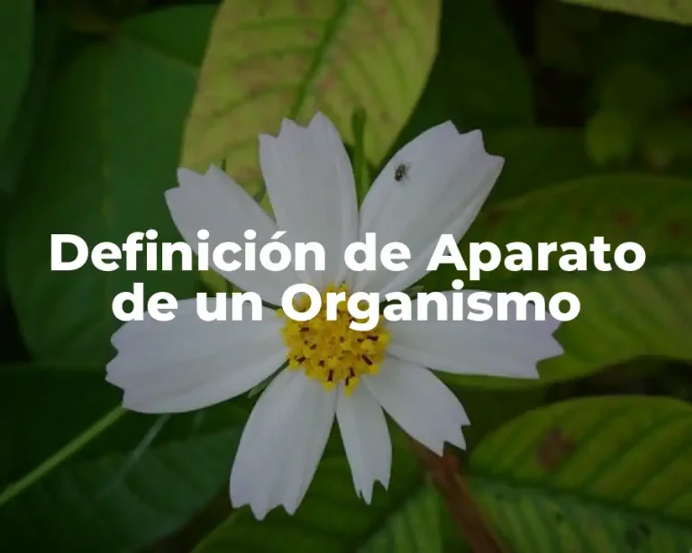 Definición de Aparato de un Organismo
