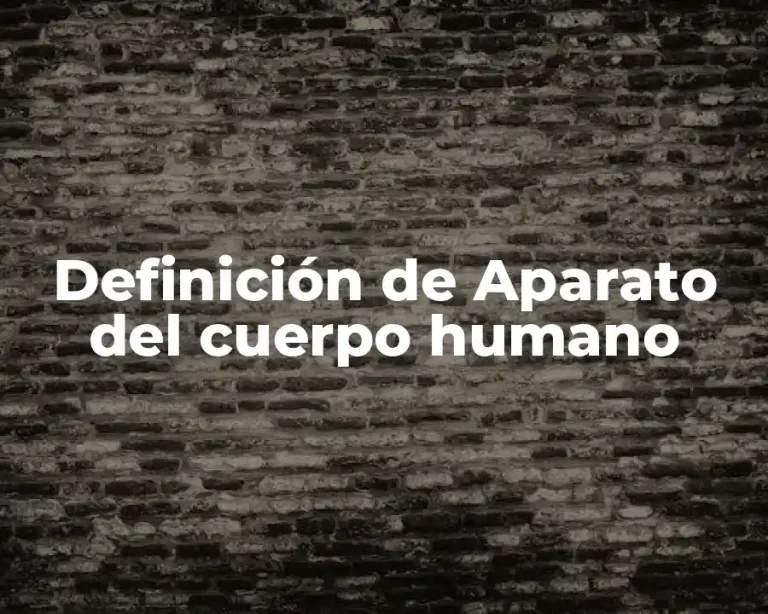 Definición de Aparato del cuerpo humano