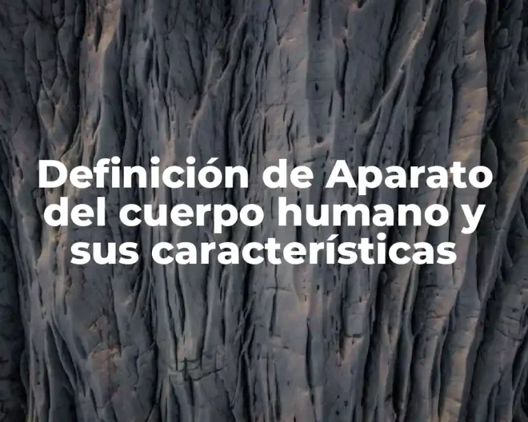Definición de Aparato del cuerpo humano y sus características