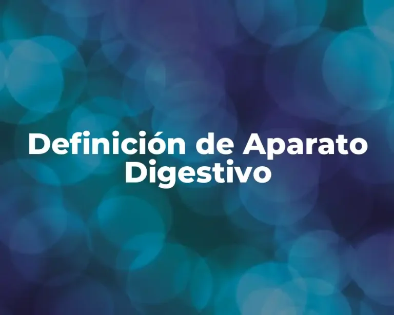 Definición de Aparato Digestivo