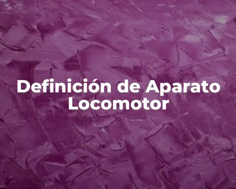 Definición de Aparato Locomotor