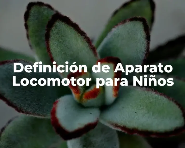 Definición de Aparato Locomotor para Niños