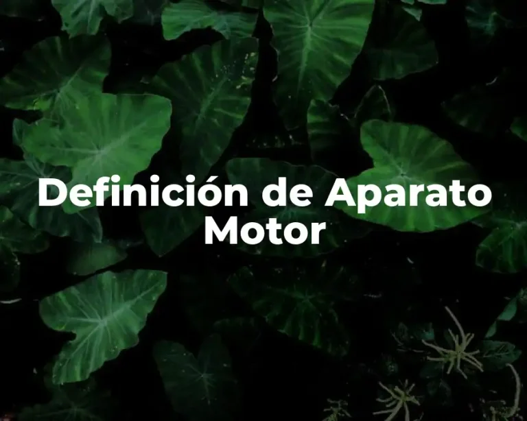 Definición de Aparato Motor