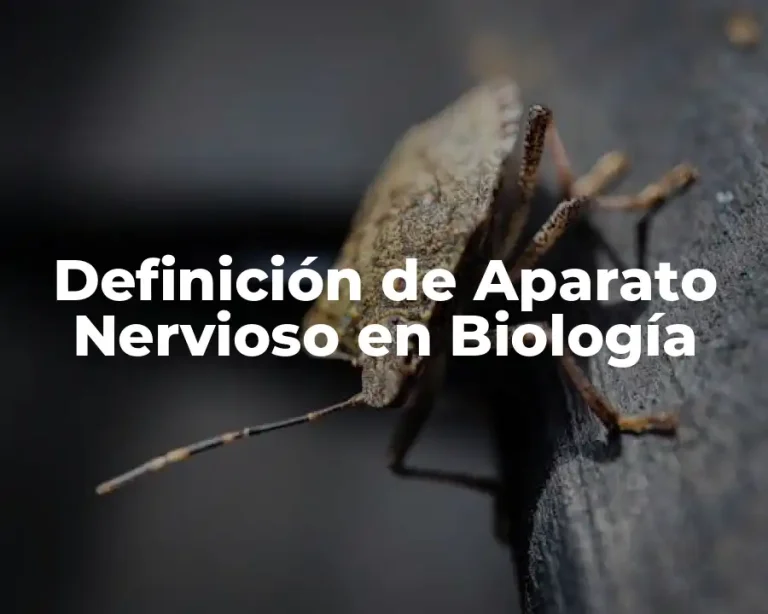 Definición de Aparato Nervioso en Biología