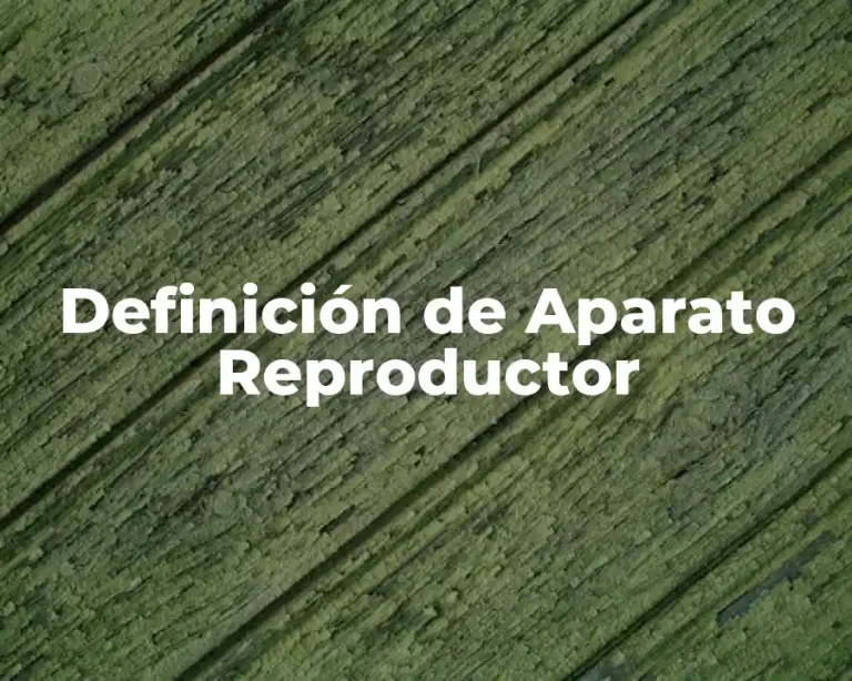 Definición de Aparato Reproductor