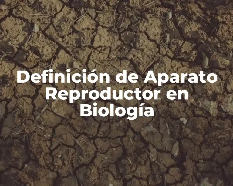 Definición de Aparato Reproductor en Biología