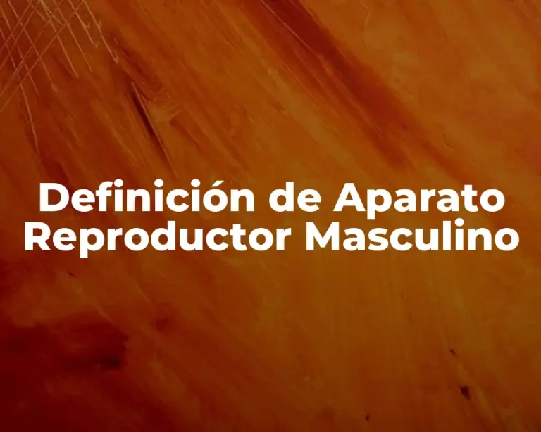 Definición de Aparato Reproductor Masculino