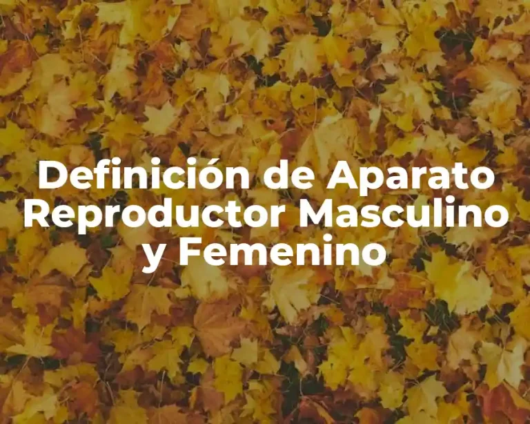 Definición de Aparato Reproductor Masculino y Femenino