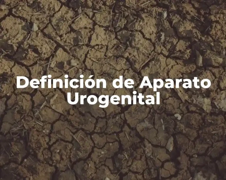 Definición de Aparato Urogenital