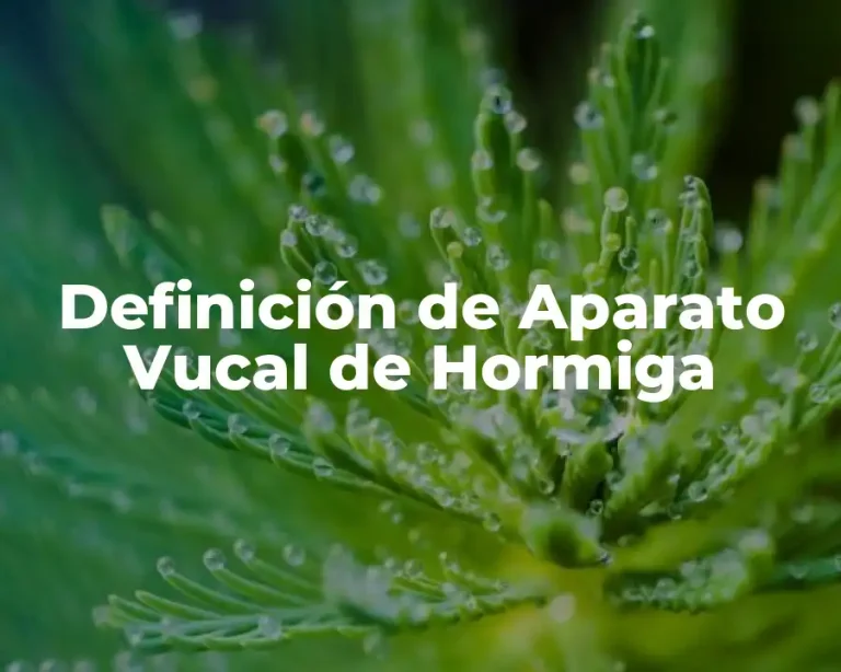 Definición de Aparato Vucal de Hormiga
