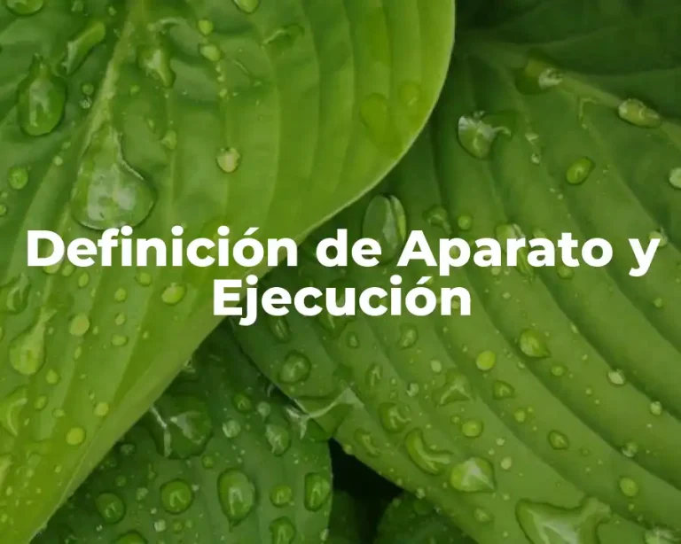 Definición de Aparato y Ejecución