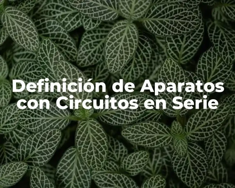 Definición de Aparatos con Circuitos en Serie
