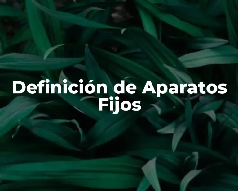Definición de Aparatos Fijos