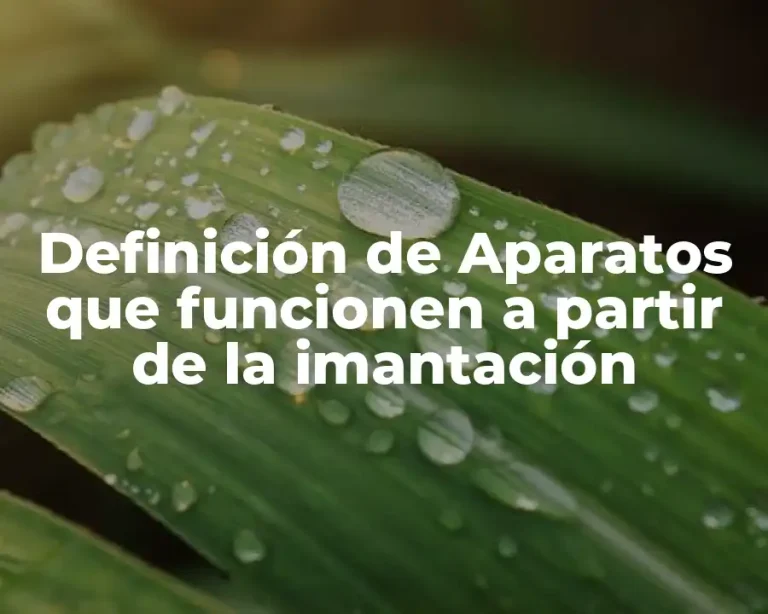Definición de Aparatos que funcionen a partir de la imantación