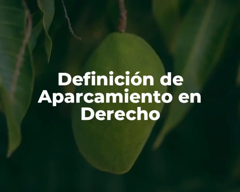 Definición de Aparcamiento en Derecho