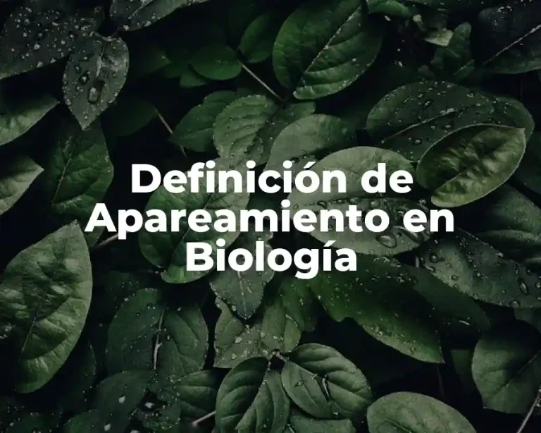 Definición de Apareamiento en Biología