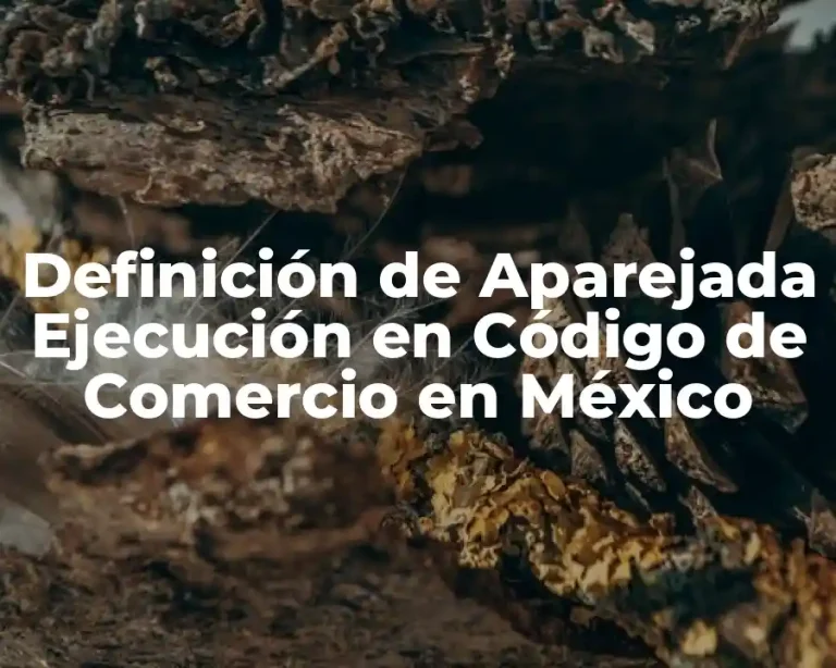 Definición de Aparejada Ejecución en Código de Comercio en México
