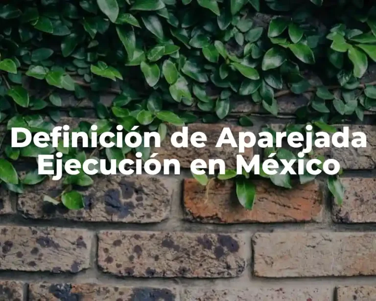 Definición de Aparejada Ejecución en México
