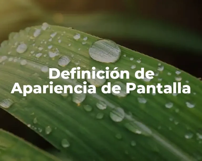 Definición de Apariencia de Pantalla