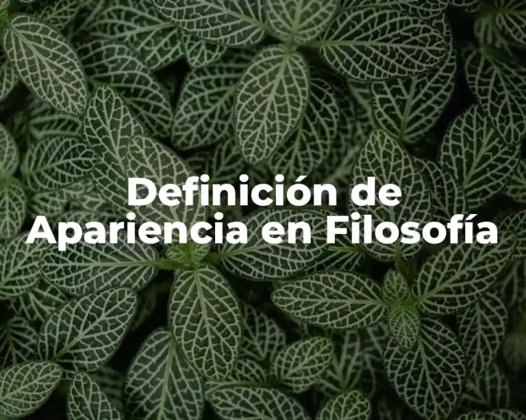 Definición de Apariencia en Filosofía