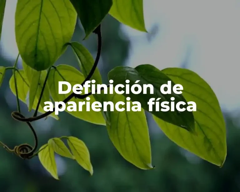 Definición de apariencia física