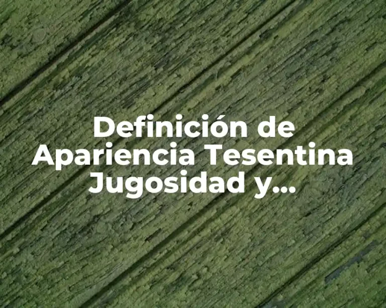 Definición de Apariencia Tesentina Jugosidad y Rebanabilidad