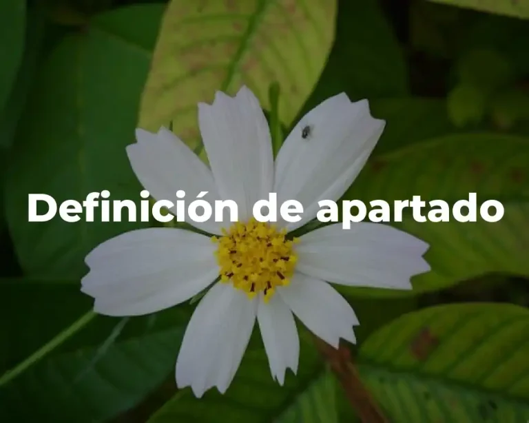 Definición de apartado