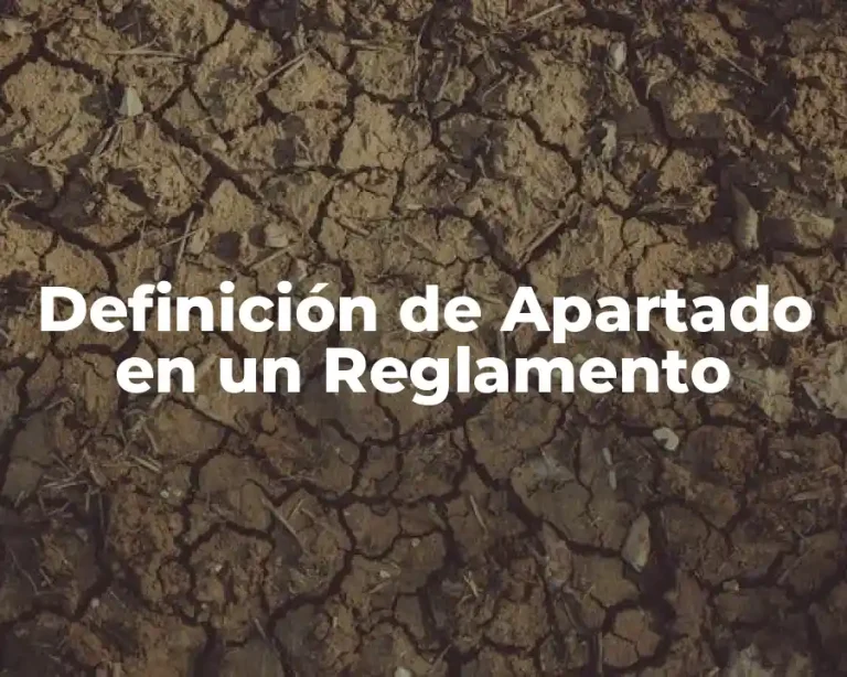Definición de Apartado en un Reglamento