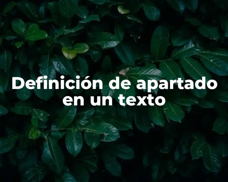 Definición de apartado en un texto