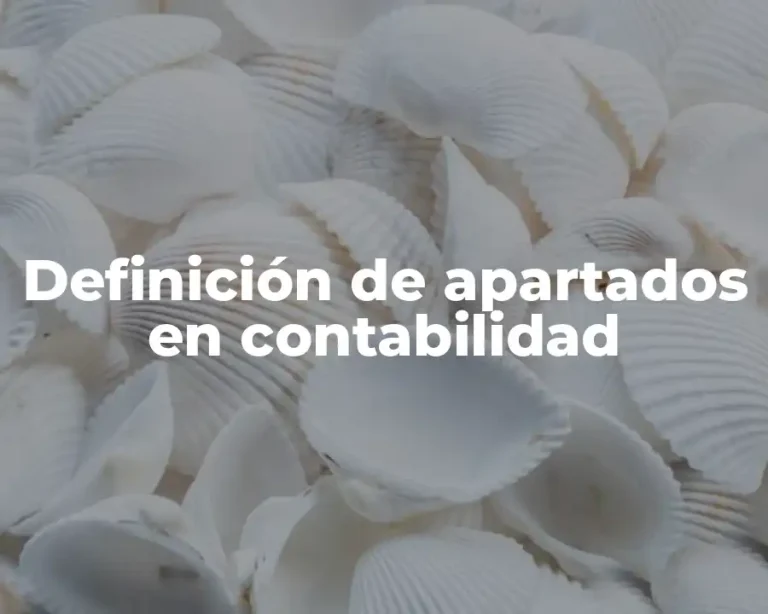 Definición de apartados en contabilidad