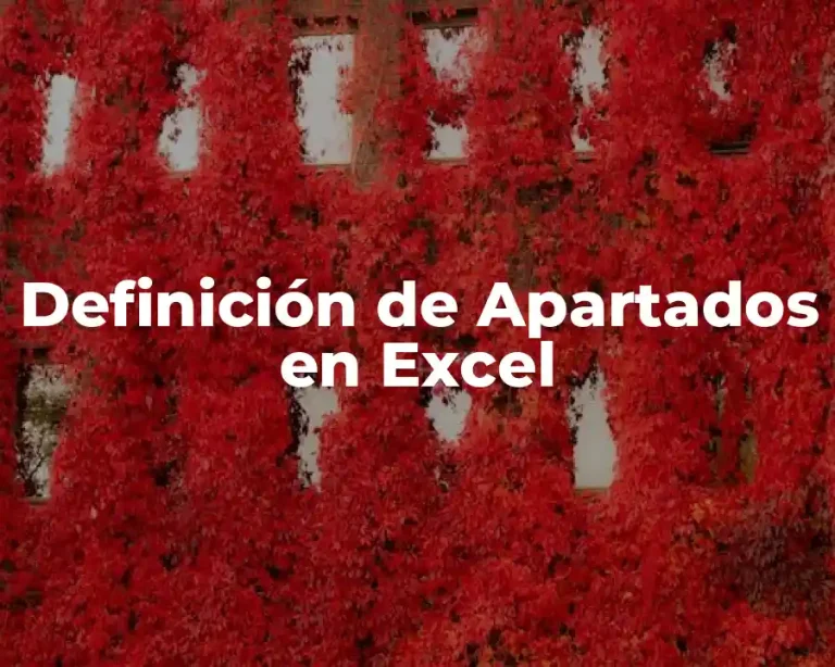 Definición de Apartados en Excel