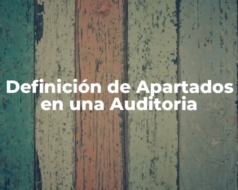 Definición de Apartados en una Auditoria