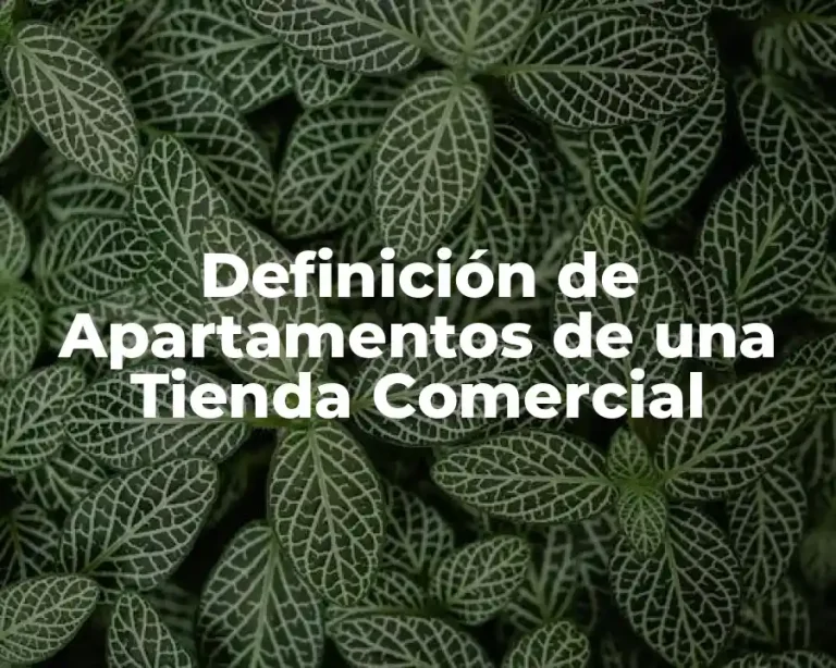 Definición de Apartamentos de una Tienda Comercial
