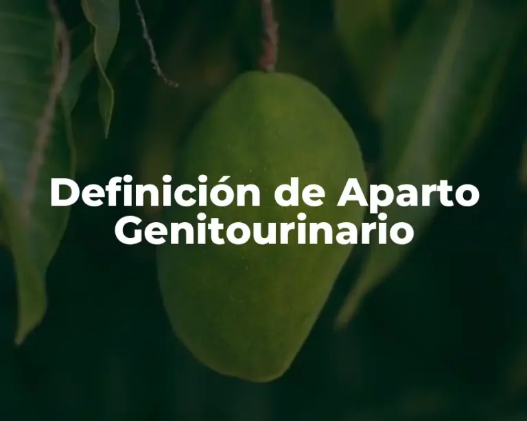 Definición de Aparto Genitourinario