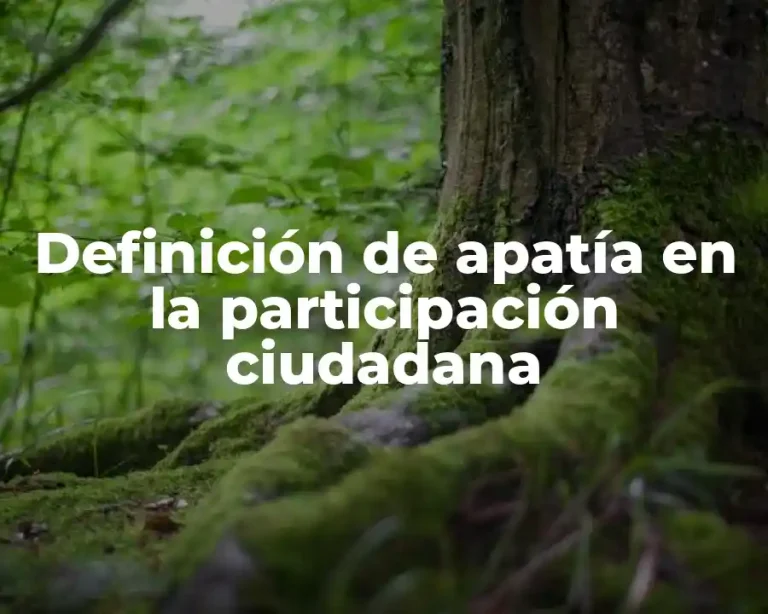 Definición de apatía en la participación ciudadana