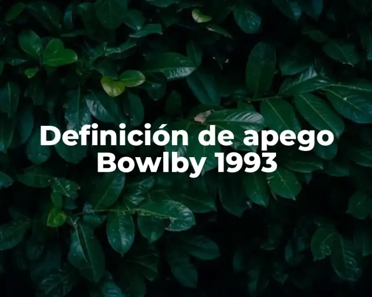 Definición de apego Bowlby 1993