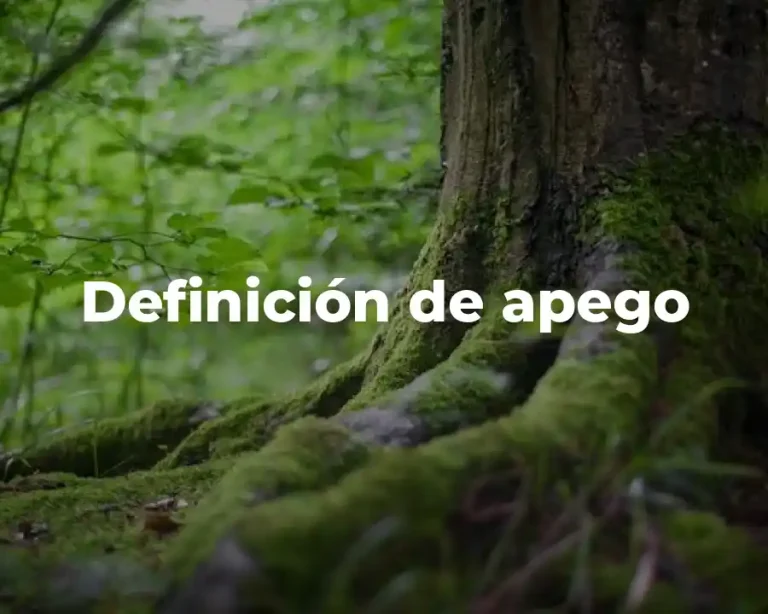 Definición de apego