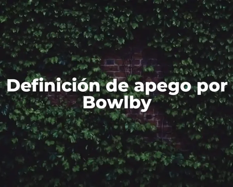 Definición de apego por Bowlby