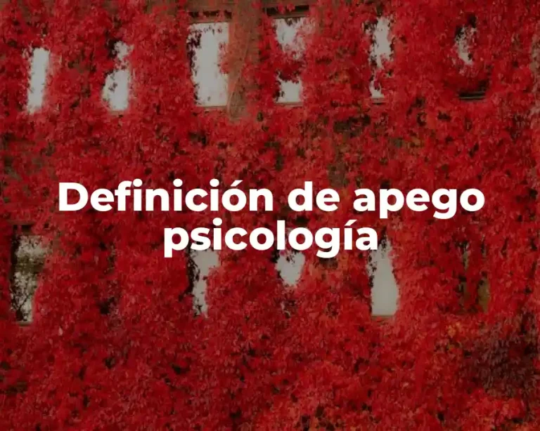 Definición de apego psicología